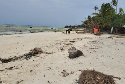 Nungwi beach